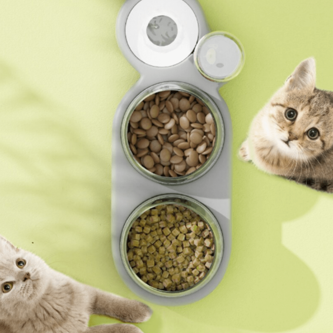 3 in 1 Elevated Pet Bowl With Water Fountain