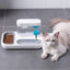 Automatic Feeder & Water Dispenser