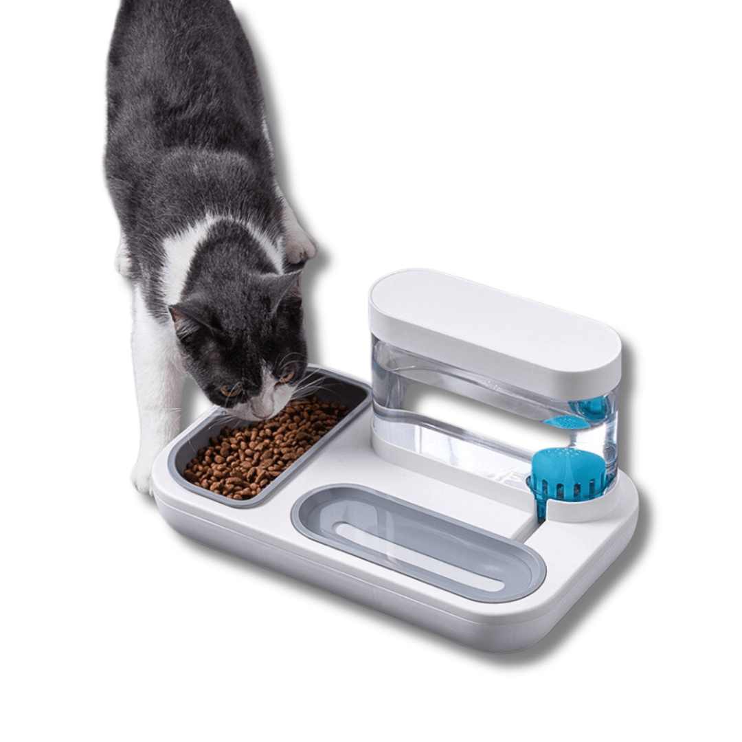 Automatic Feeder & Water Dispenser