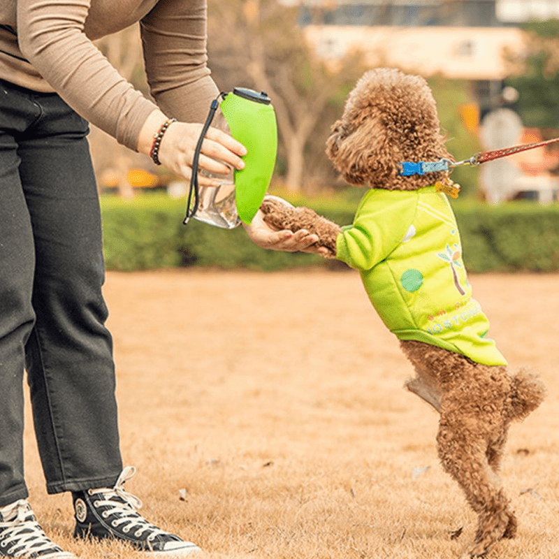 Dog Water Bottle Foldable