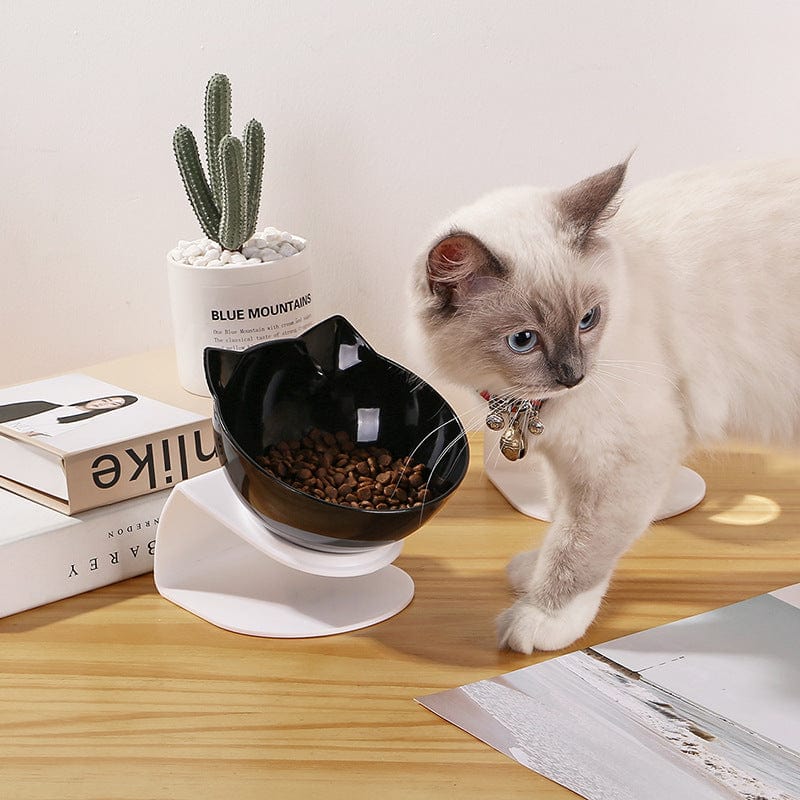 Inclined Non-Slip Food Bowl