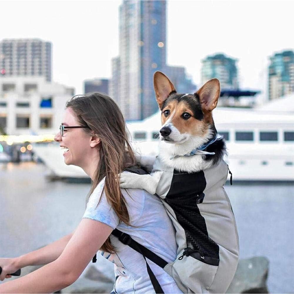 Companion Hiking Dog Backpack