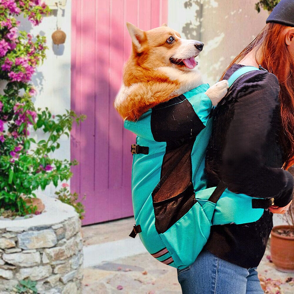 Companion Hiking Dog Backpack