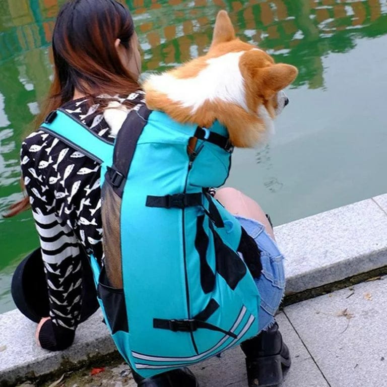 Companion Hiking Dog Backpack