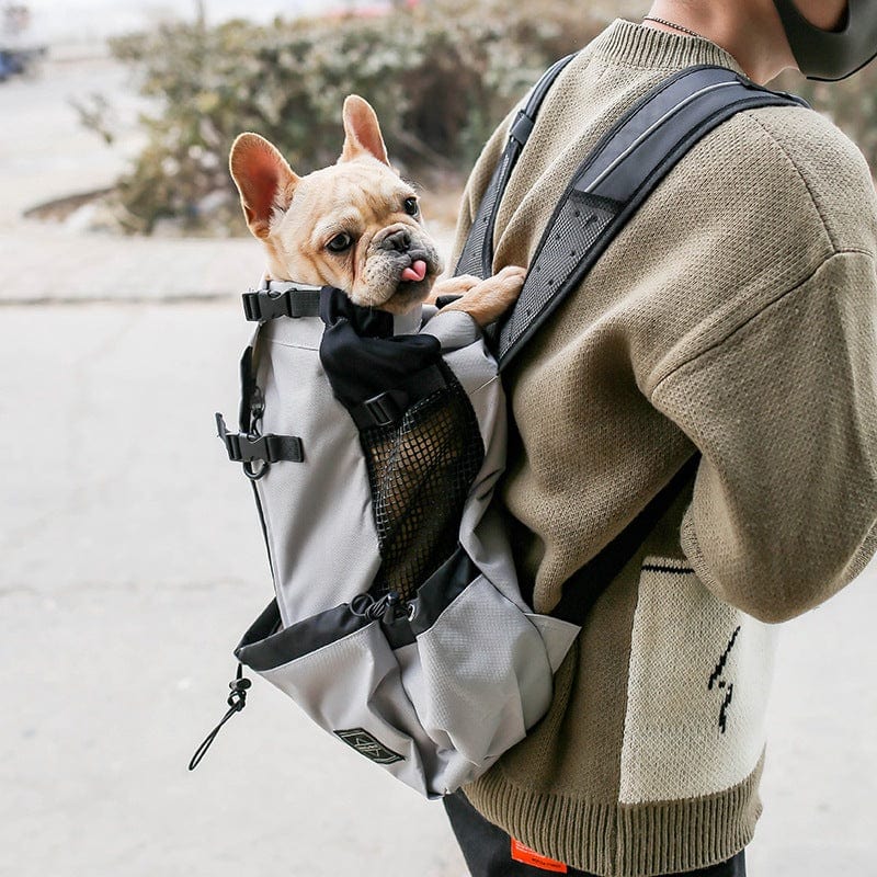 Hiking Backpack Dog Carrier