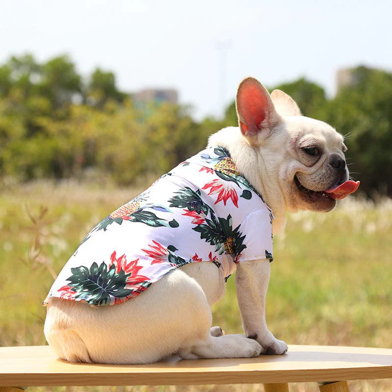 Aloha Dog Shirts