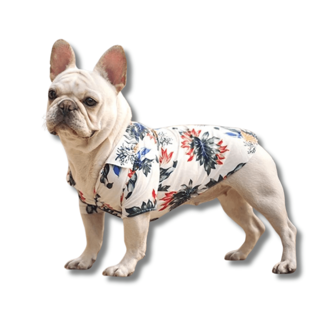 Aloha Dog Shirts