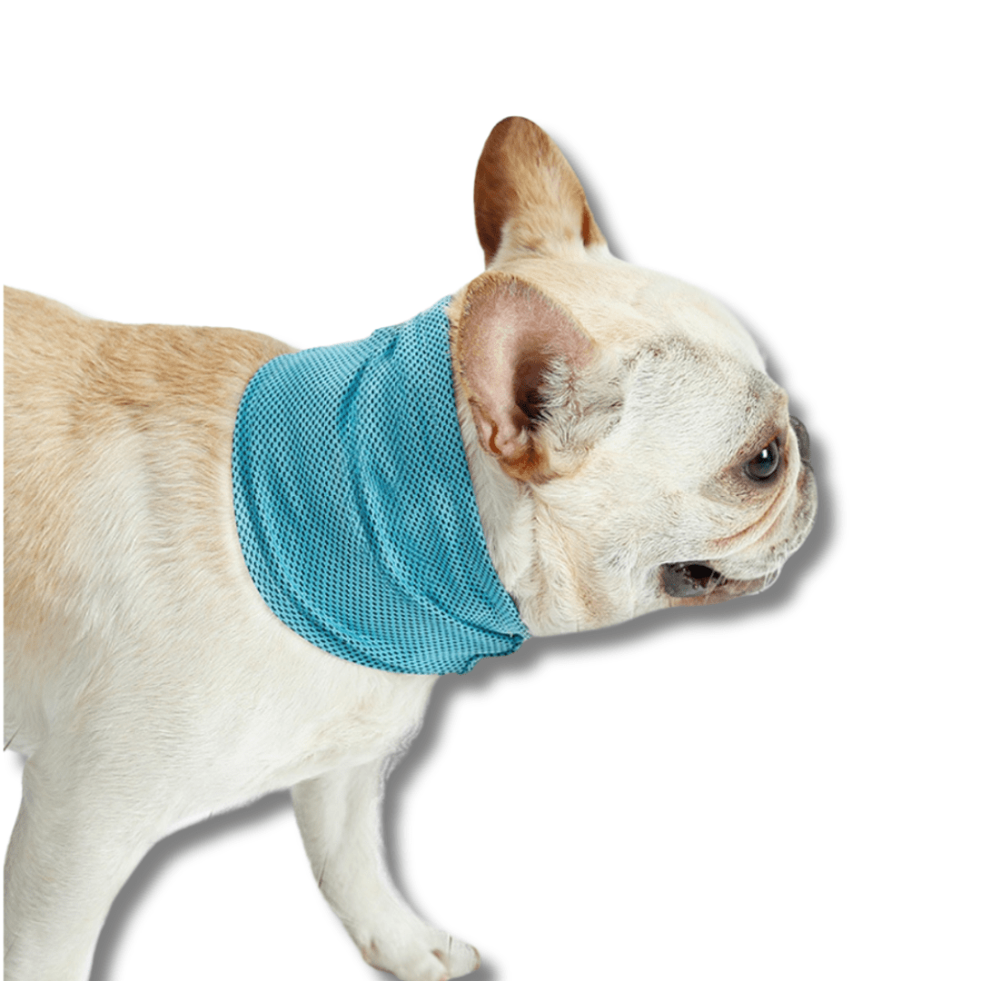 Cooling Dog Bandana