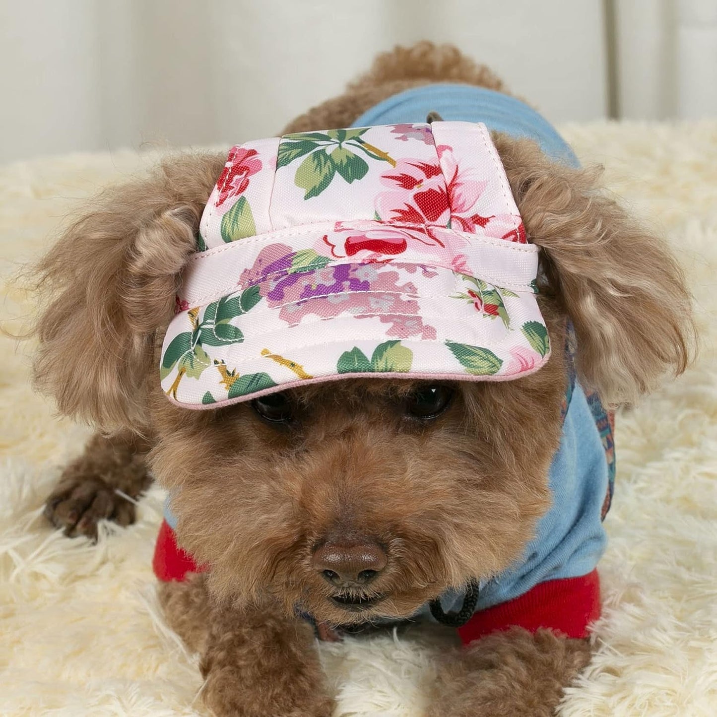 Retro Style Dog Hats