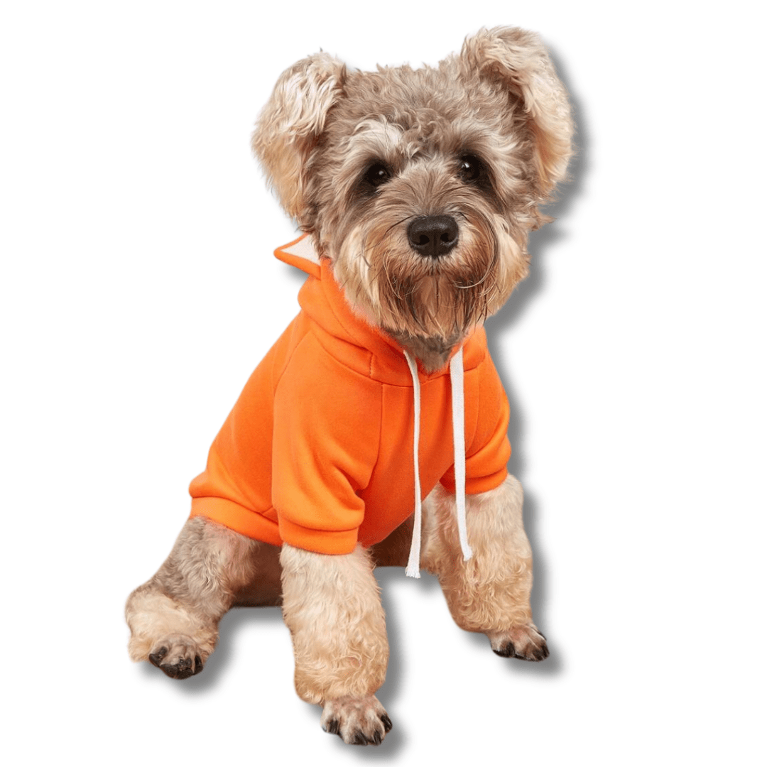 Trendy Dog Comfort Hoodies