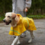 Waterproof Dog Raincoat