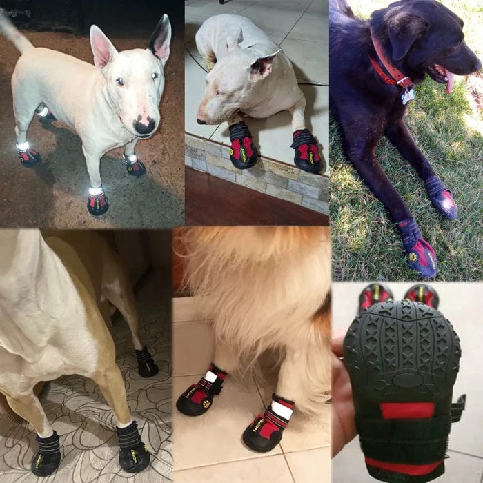 Waterproof Outdoor Dog Boots