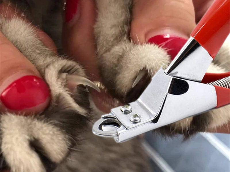 Ez Clip Nail Clippers