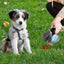 PoochScoop - Dog poop bag dispenser