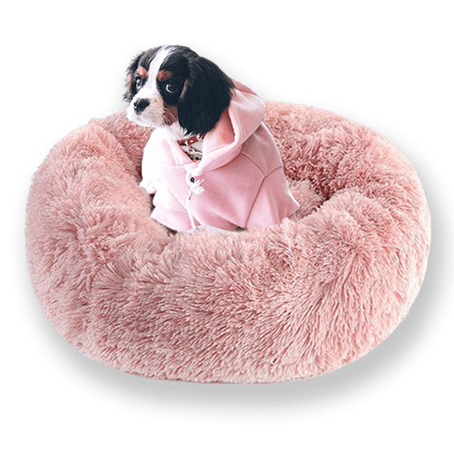 original calming dog bed