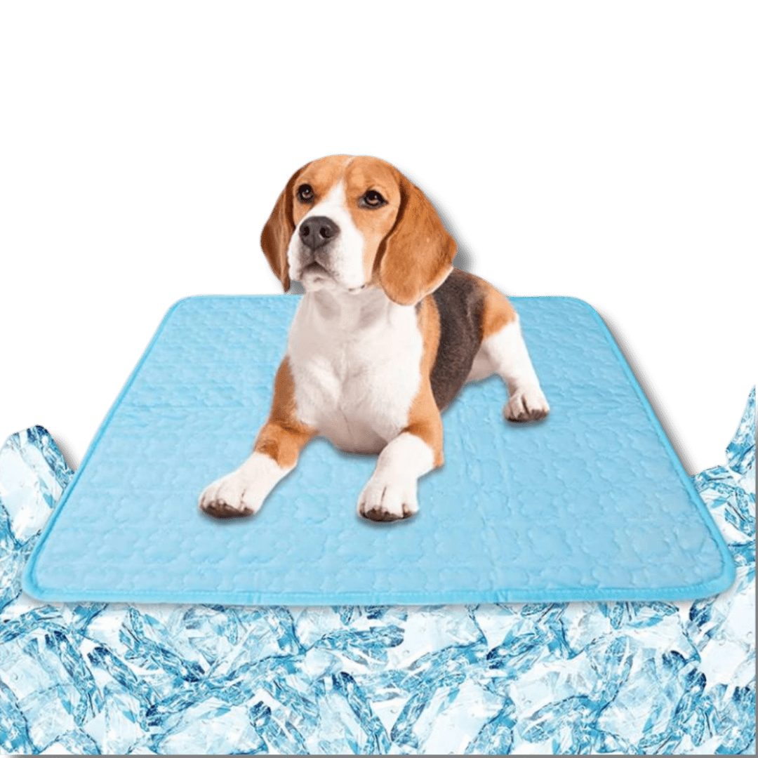 Pet Cooling Mat