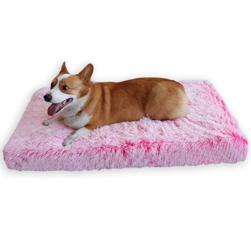 Ultimate Comfort Calming Dog Bed - Buddies Pet Shop