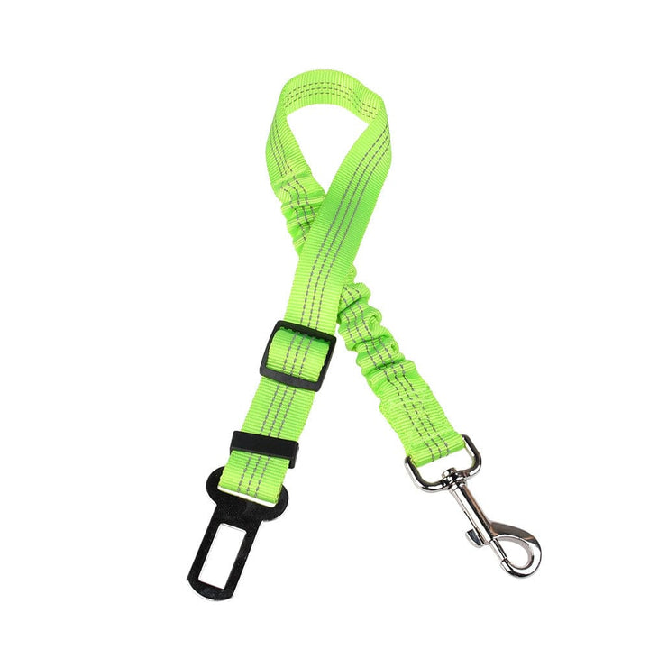 Click Clack Car Leash - Buddies Pet Shop