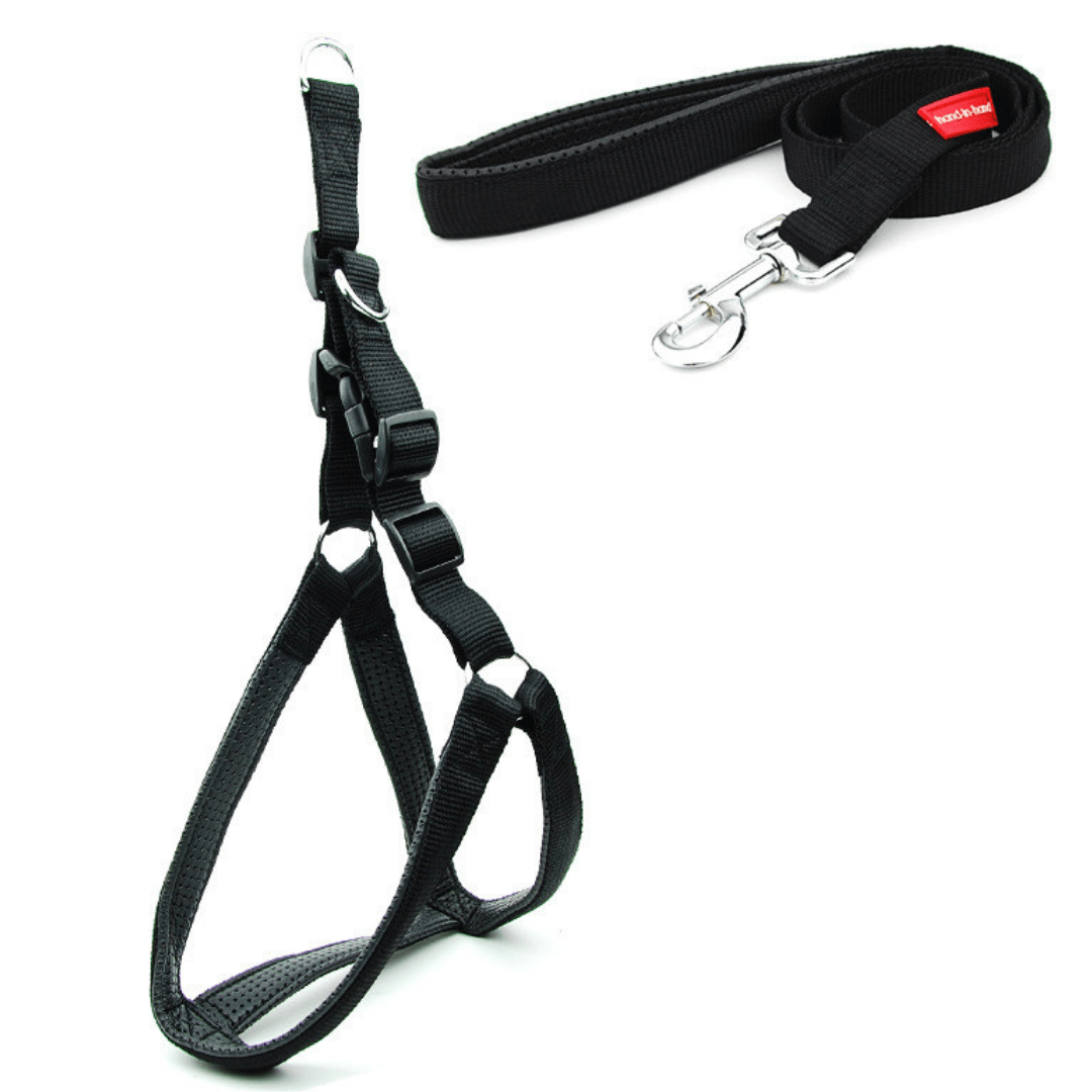 Ez On Nylon Harness