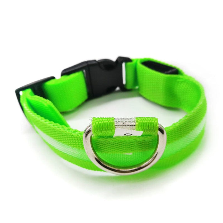 Safety LED light up Collars