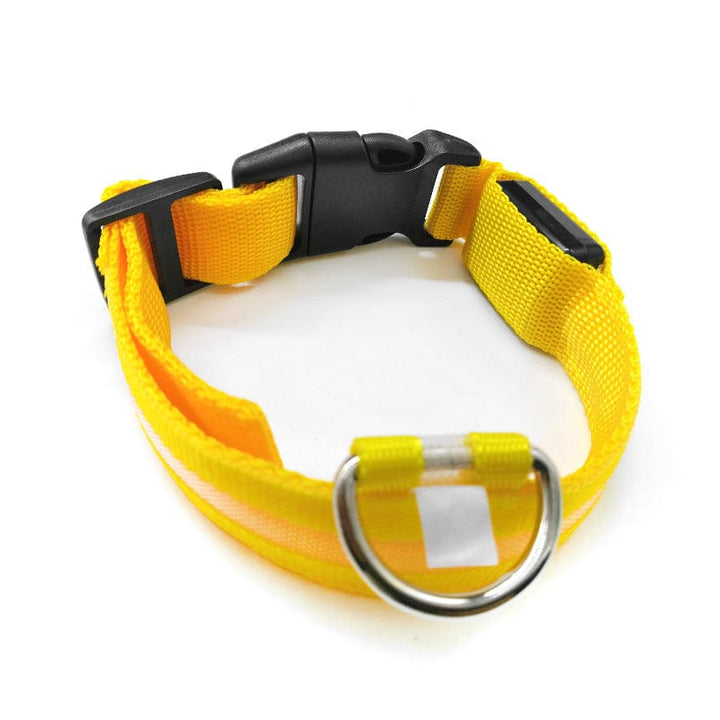 Safety LED light up Collars