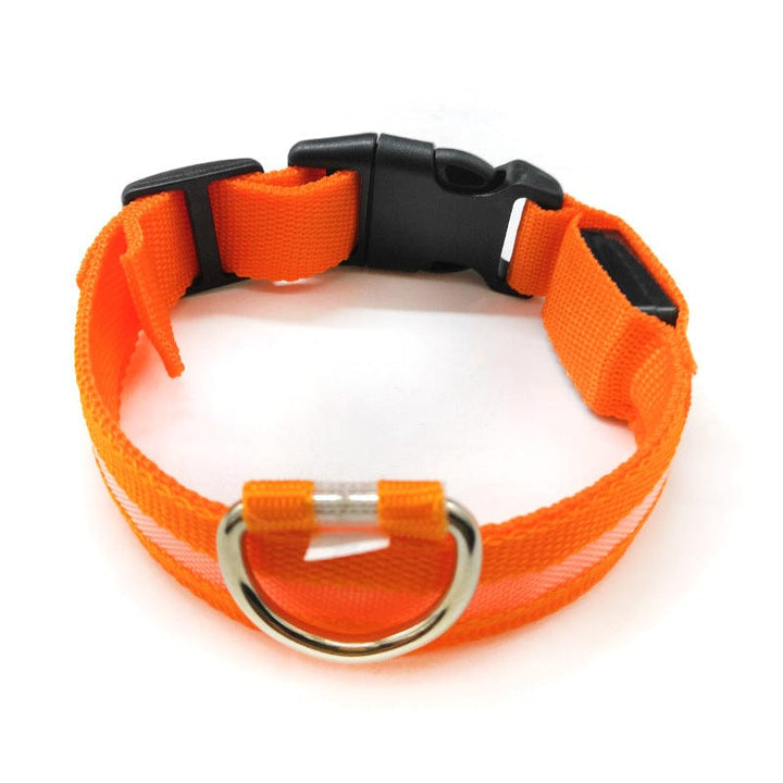 Safety LED light up Collars