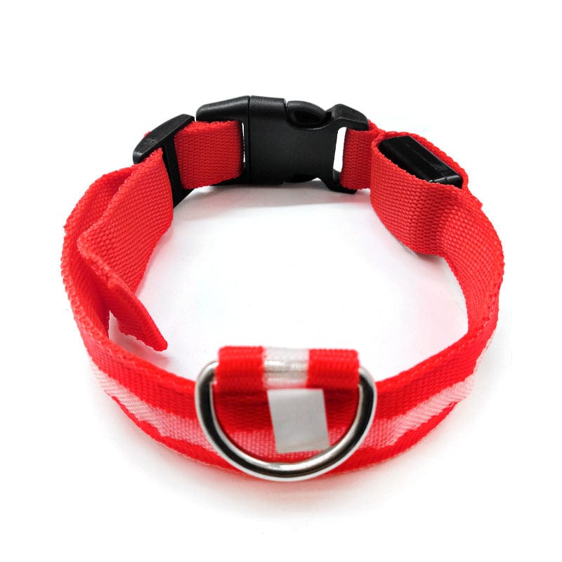 Safety LED light up Collars