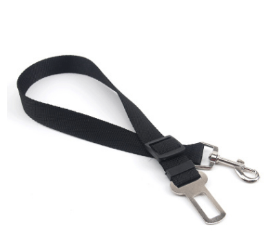 Seat Belt Safety Leash