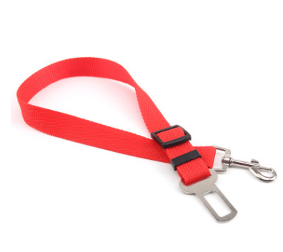 Seat Belt Safety Leash