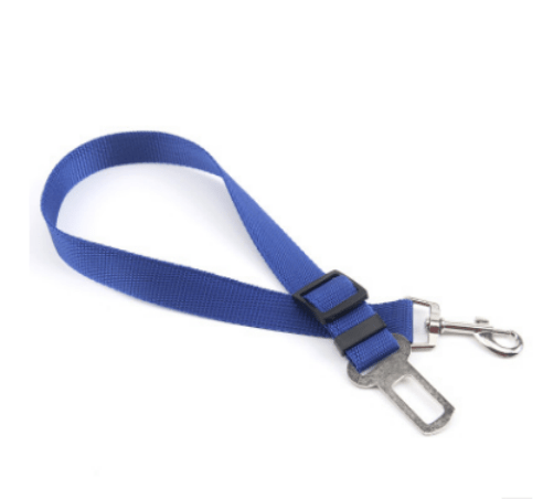 Seat Belt Safety Leash