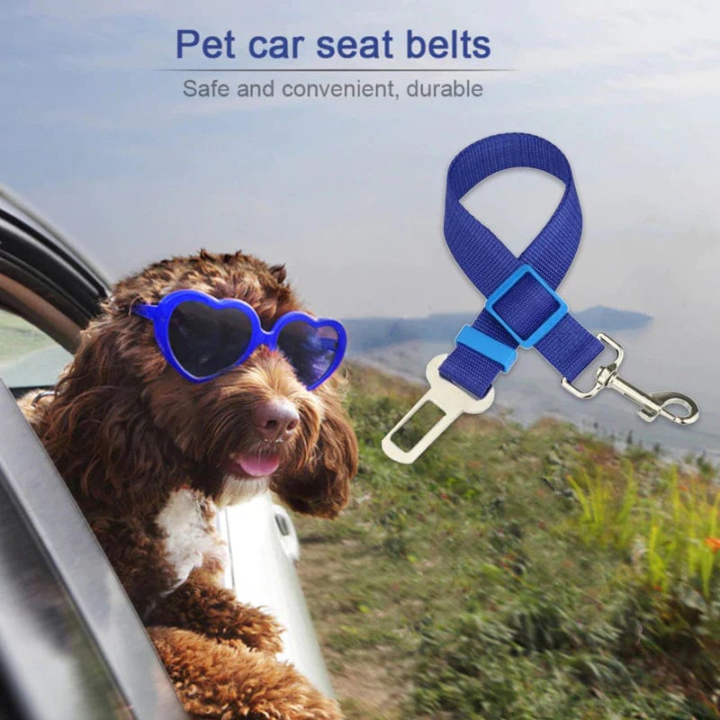 Seat Belt Safety Leash