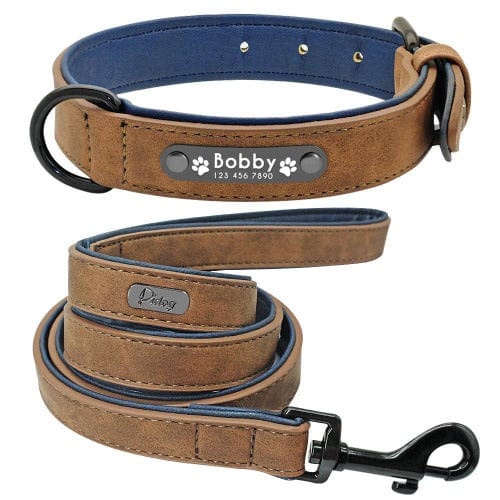 Stylish Custom Collar and Leash Set - Buddies Pet Shop