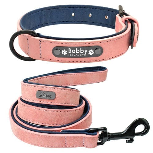 Stylish Custom Collar and Leash Set - Buddies Pet Shop