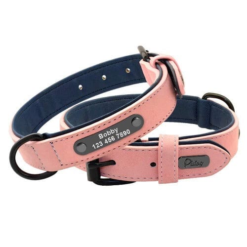 Stylish Custom Collar and Leash Set - Buddies Pet Shop