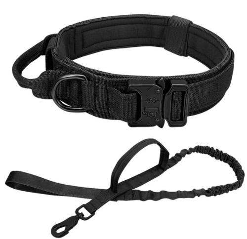 Tactical Collar and Leash Set - Buddies Pet Shop