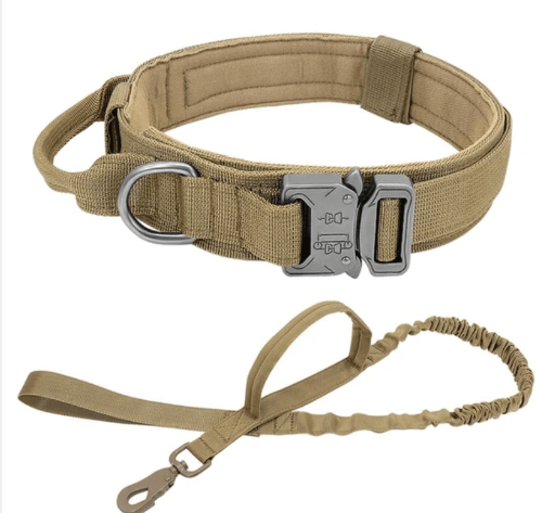 Tactical Collar and Leash Set - Buddies Pet Shop