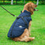 Waterproof Dog Jacket With Harness - Buddies Pet Shop