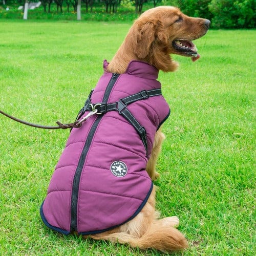 Waterproof Dog Jacket With Harness - Buddies Pet Shop