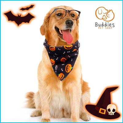 Spooked out Bandanas - Buddies Pet Shop