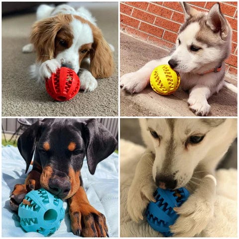 Slow Feeder Rubber Treat Ball