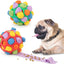 Snuffle Treat Ball