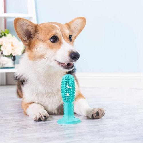 Ultimate Molar Chew Toy - Buddies Pet Shop
