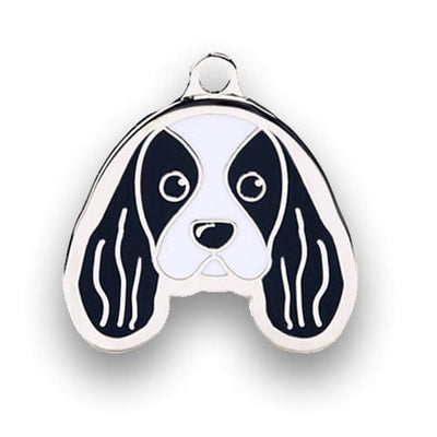 King Charles Spaniel - Buddies Pet Shop