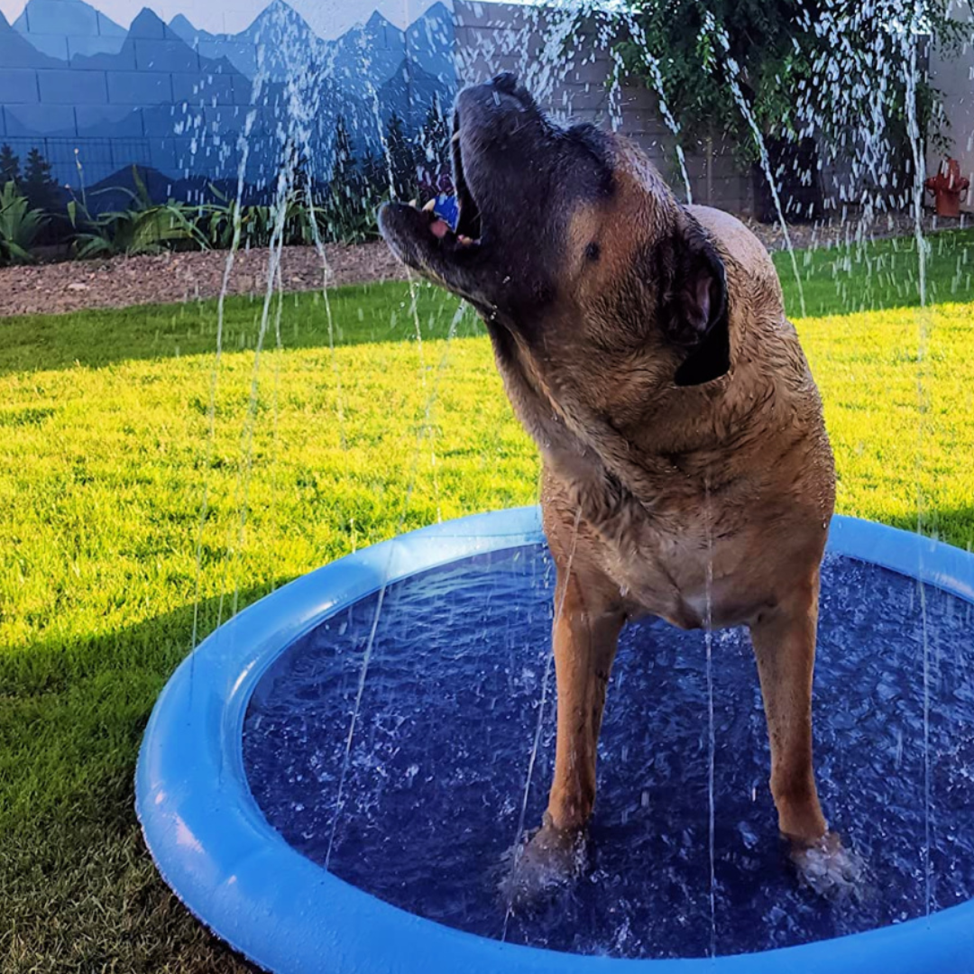 Dog Cooling Sprinkler Pad